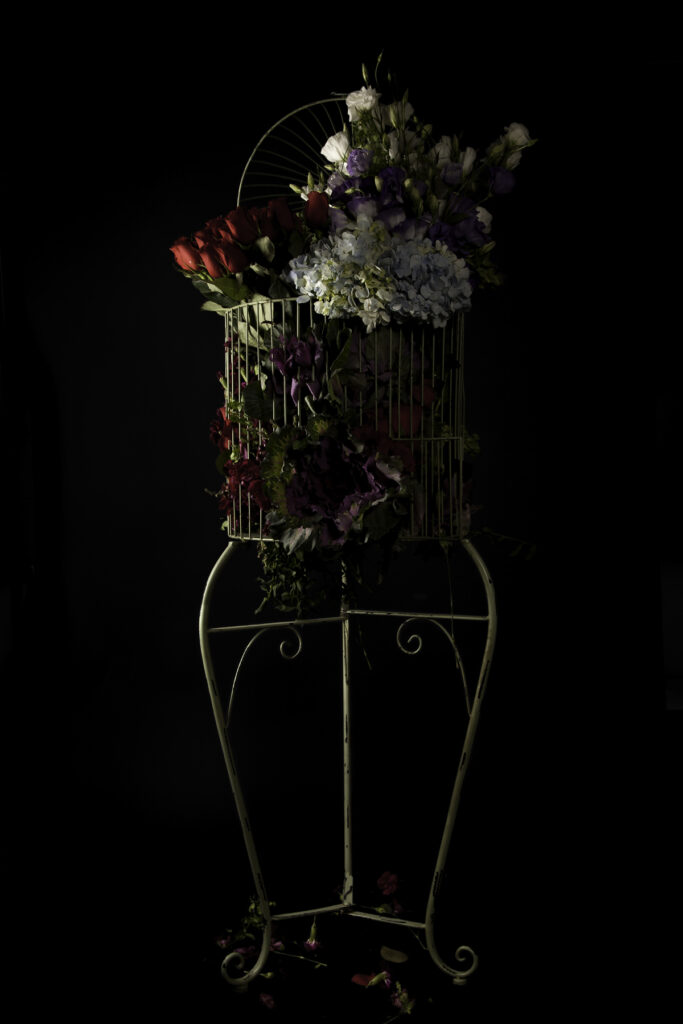 Image gallery image