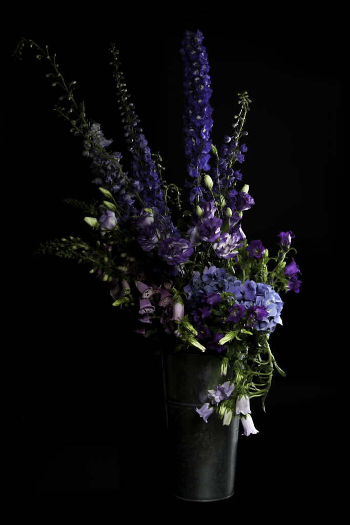 Image gallery image