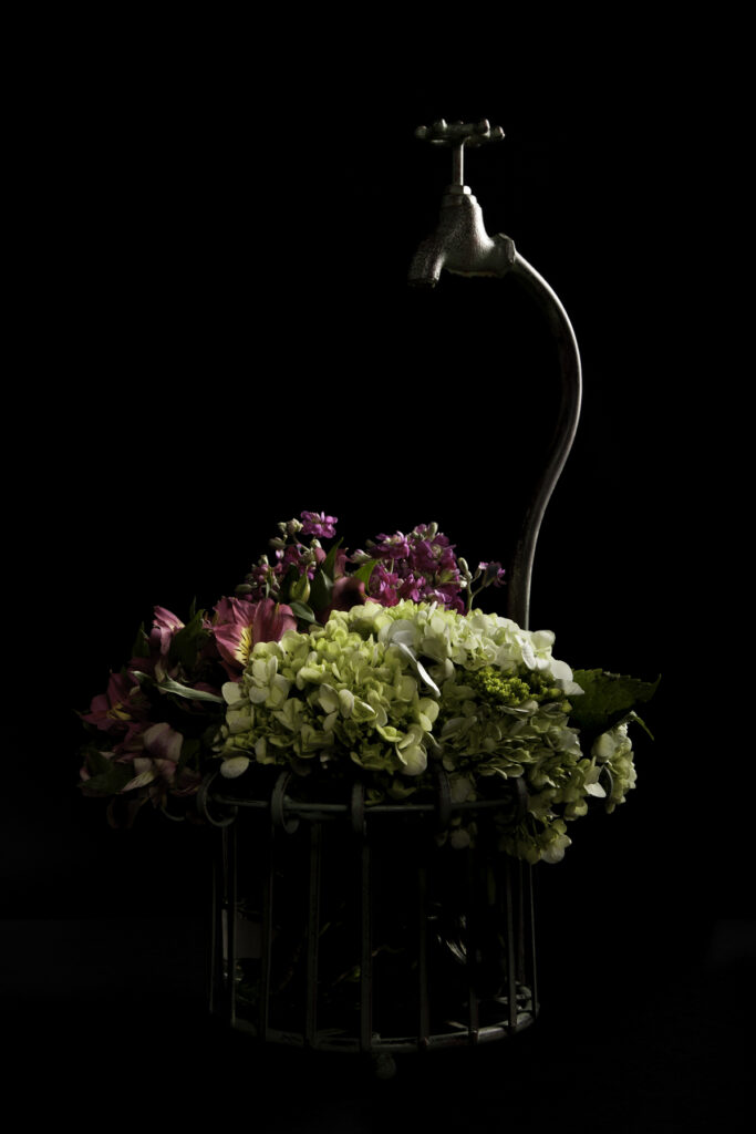 Image gallery image
