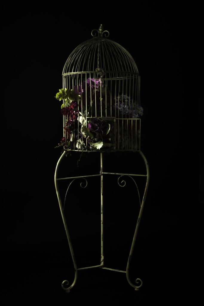 Image gallery image